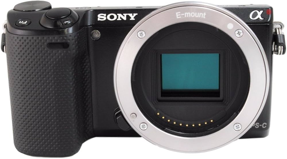 Amazon | ソニー ミラーレス一眼カメラ α NEX-5Rボディ ブラック NEX