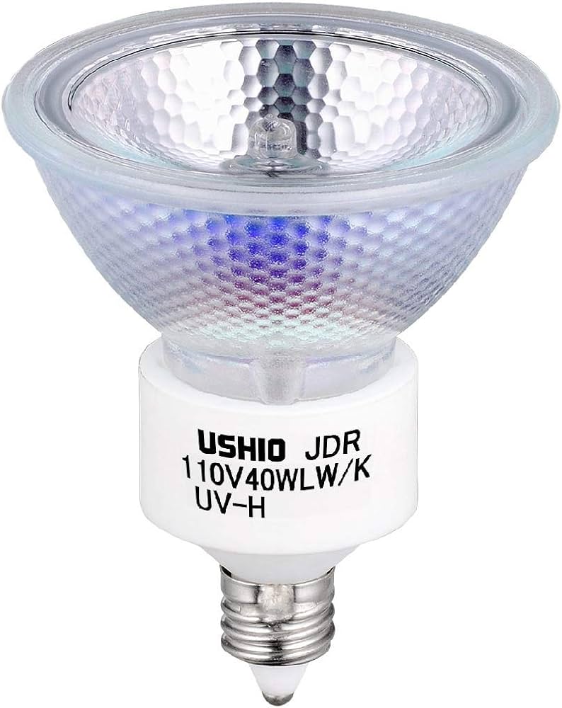 61FYzFfetcL._AC_UF894,