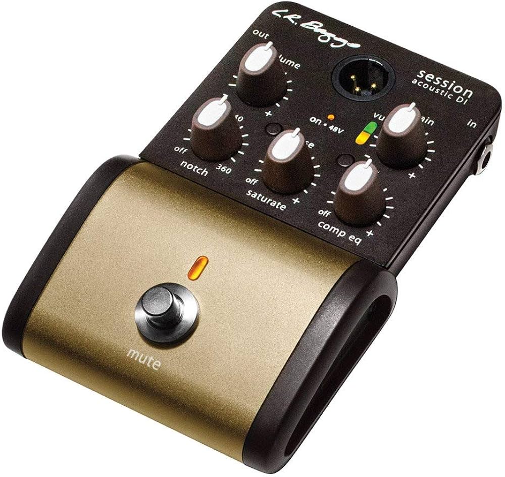 LR Baggs SESSION-DI Acoustic Preamp : Amazon.ca: Musical