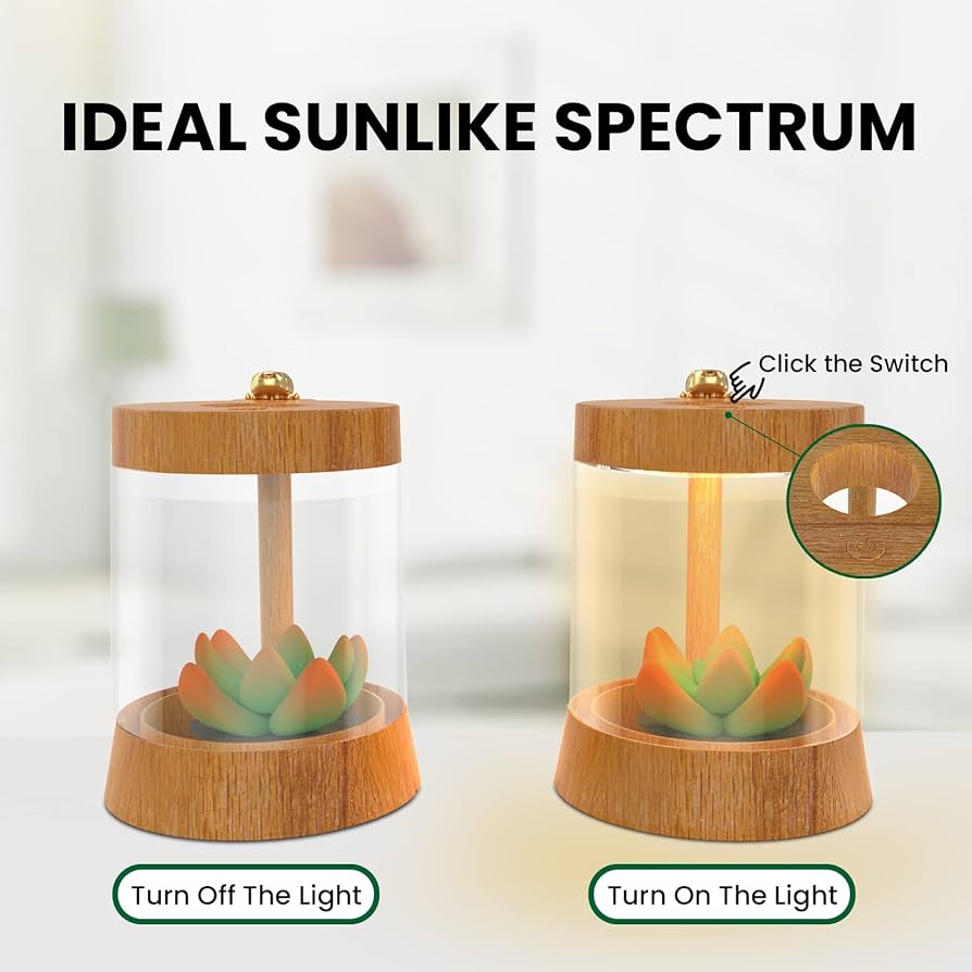 Amazon.co.jp: FTOYIN 多肉植物 ナイトライト 快適なナイトライト