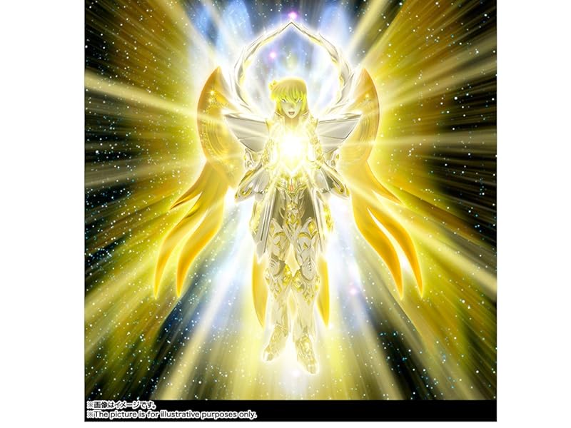 Amazon.co.jp: TAMASHII NATIONS 聖闘士聖衣神話EX バルゴシャカ(神聖