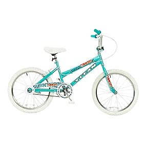 Amazon.com : Titan Tomcat 20-Inch Wheel Girls BMX Bike with Pads