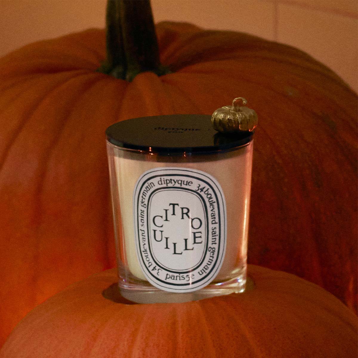 ディプティック」が秋限定キャンドル“シトルイユ”を発売 温かい
