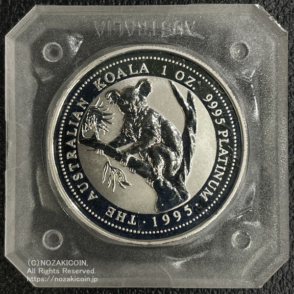 IMG_6071_600x.jpg?v=1703920211