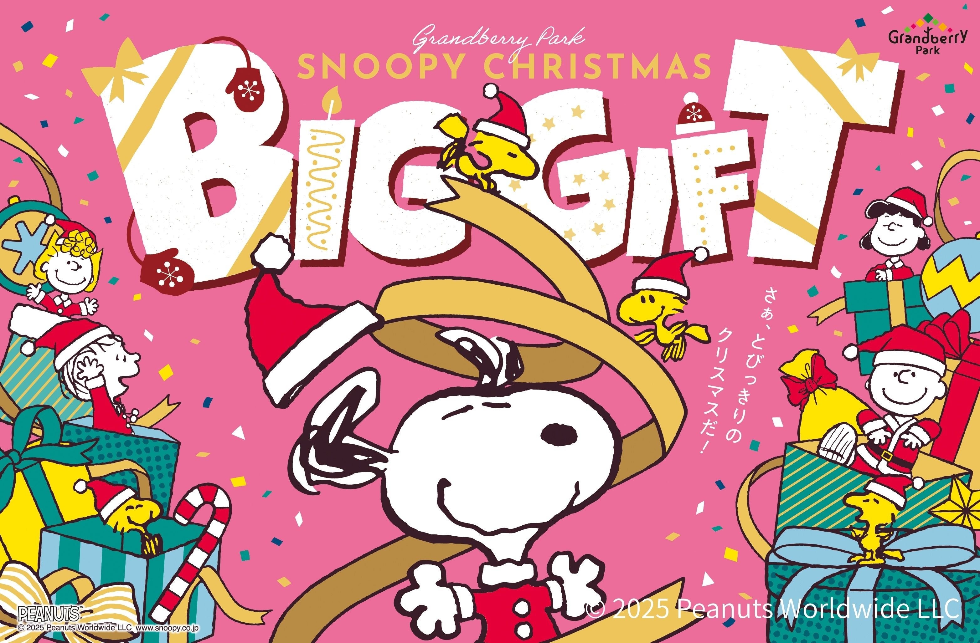 巨大なリボンが主役！高さ約8メートルのクリスマスツリーが今年も期間