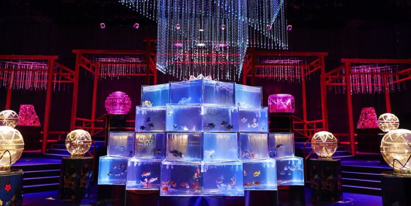 l_V50FXV4DboOzPaieXQjItGw1iUaM