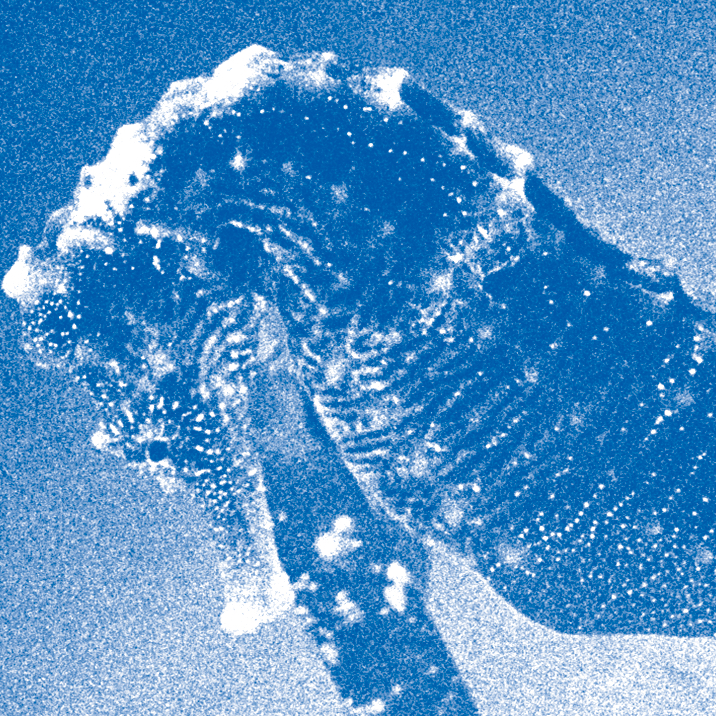 青葉市子、最新作『アダンの風』コンサート・アルバム配信リリース