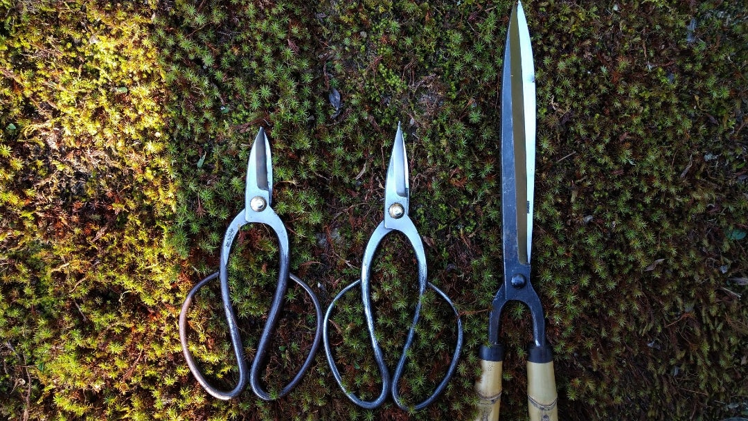 松葉刈改 本成寺昇 両手鋏 本成寺型 | 庭師記 ー 庭は師、業は己 ー