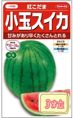 2026年最新】こだまスイカの人気アイテム - メルカリ