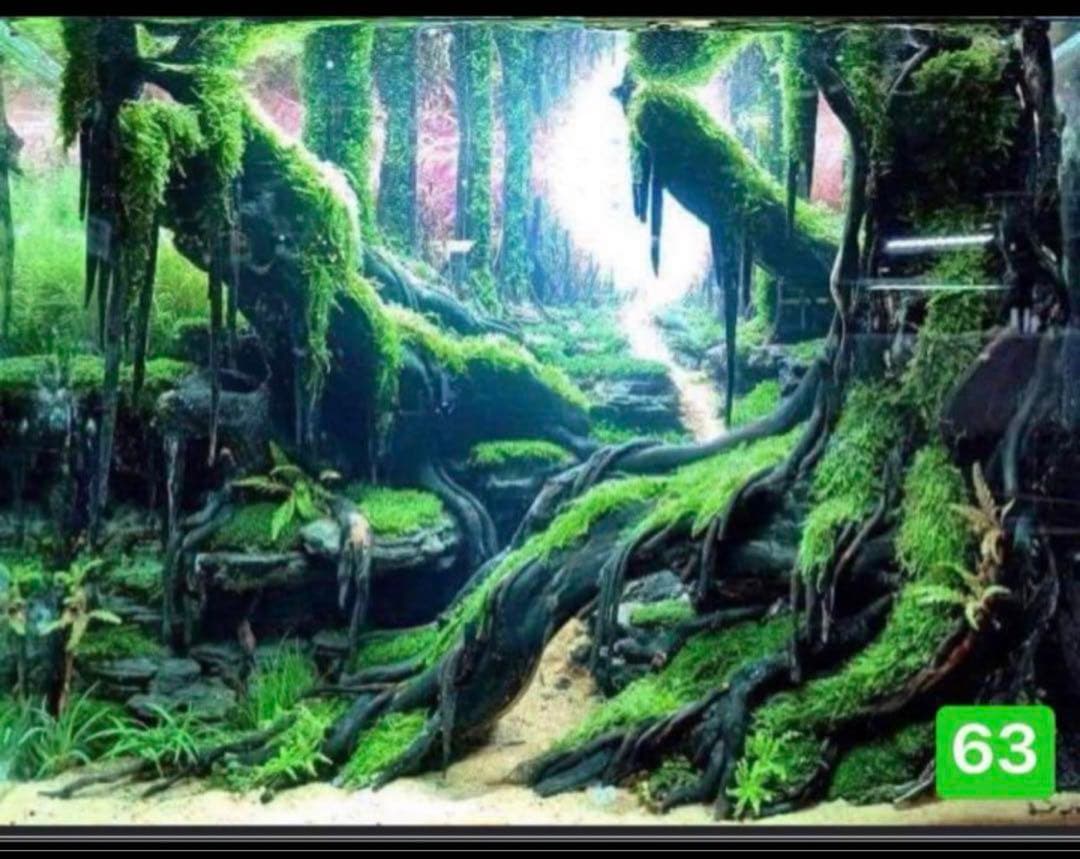 TTD 24160 【⭐︎Hiro様⭐︎】【美品・数量限定】 タグ・ホイヤー〉と藤原ヒロシの限定コラボは即完必至な真っ黒クロノ