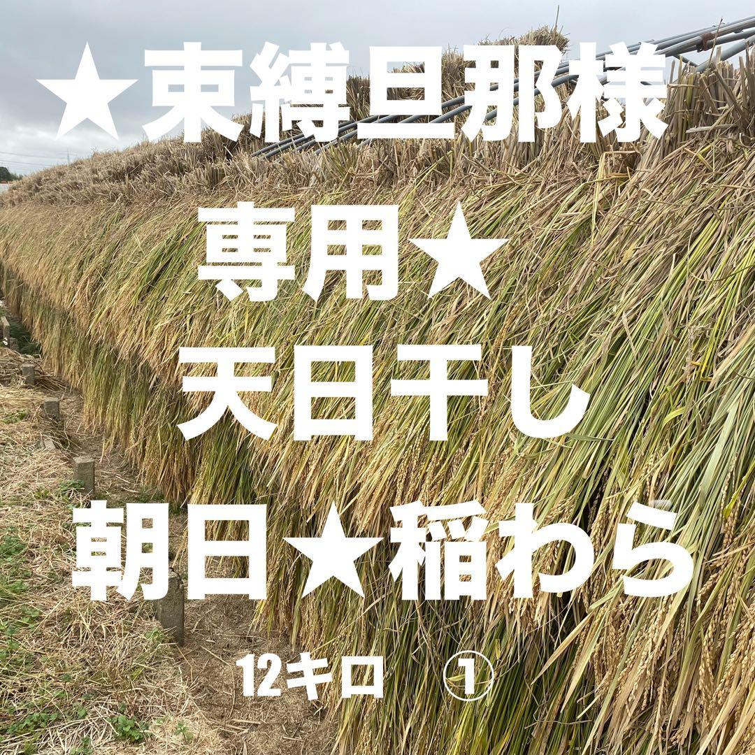 稲わら天日干し12キロ専用1 無農薬、有機栽培稲天日干し稲わら 3kg （約10束）藁 ワラ : ほんだ