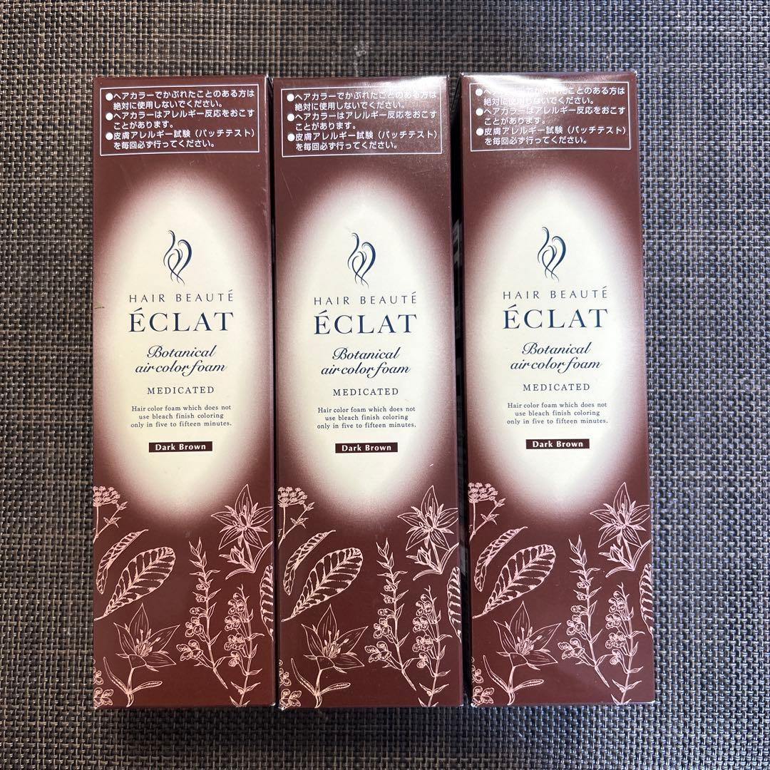 ヘアボーテ エクラ ボタニカルエアカラーフォーム　ダークブラウン150g×3本 ヘアボーテ エクラ ボタニカルエアカラーフォームEX ダークブラウン
