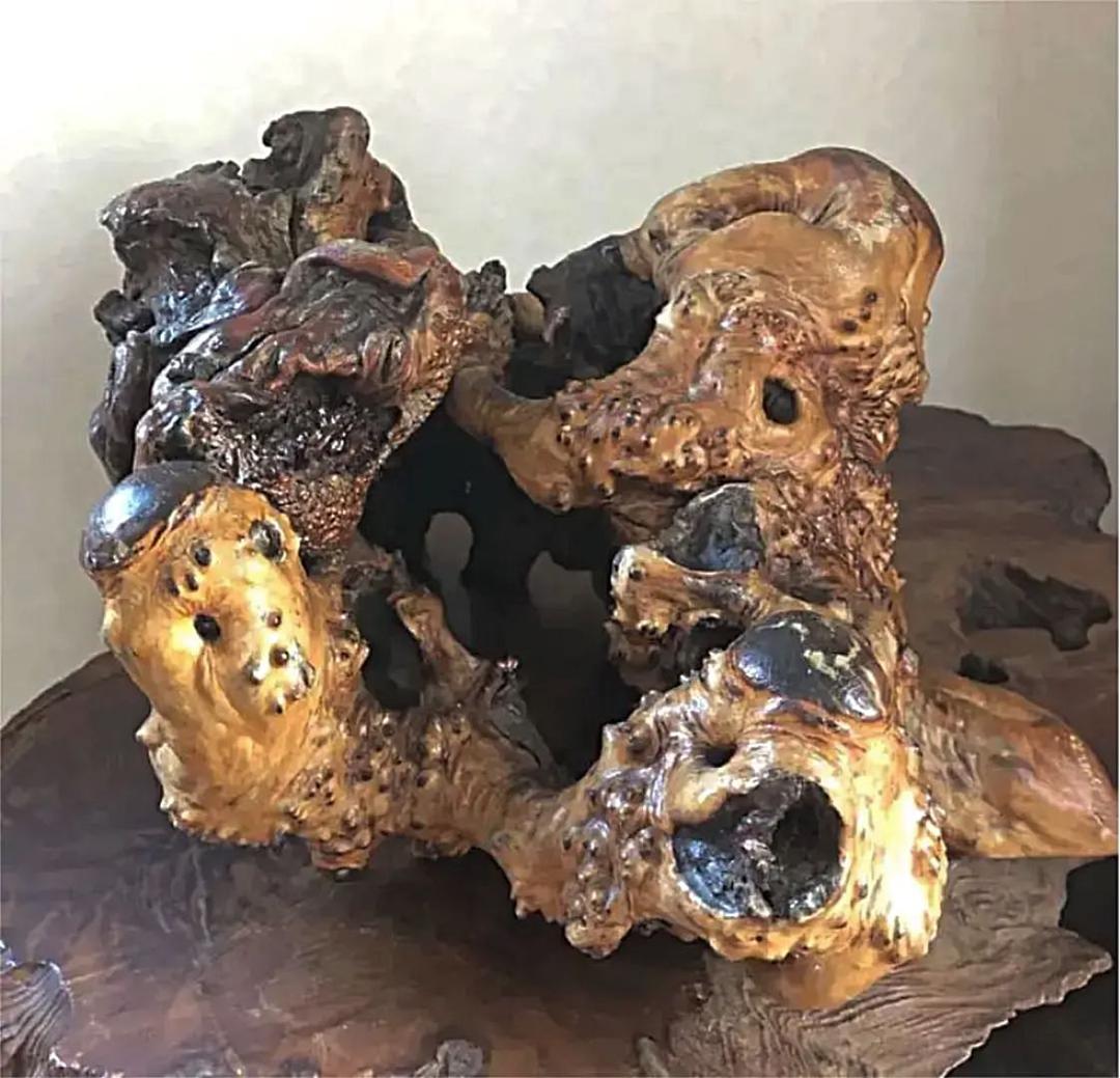 飾り 瘤古木 盆栽 3511㌘ 処分価格 枝ぶりの良い長寿梅 赤花 万古焼 白和鉢の盆栽の販売｜盆栽妙 – 盆栽妙