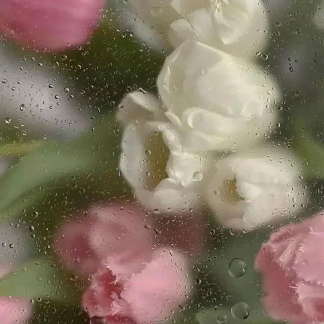 サラブランディ(☆∀☆) シンプルプラントスタンド スクエア M /A: プランター・シェルフ｜青山