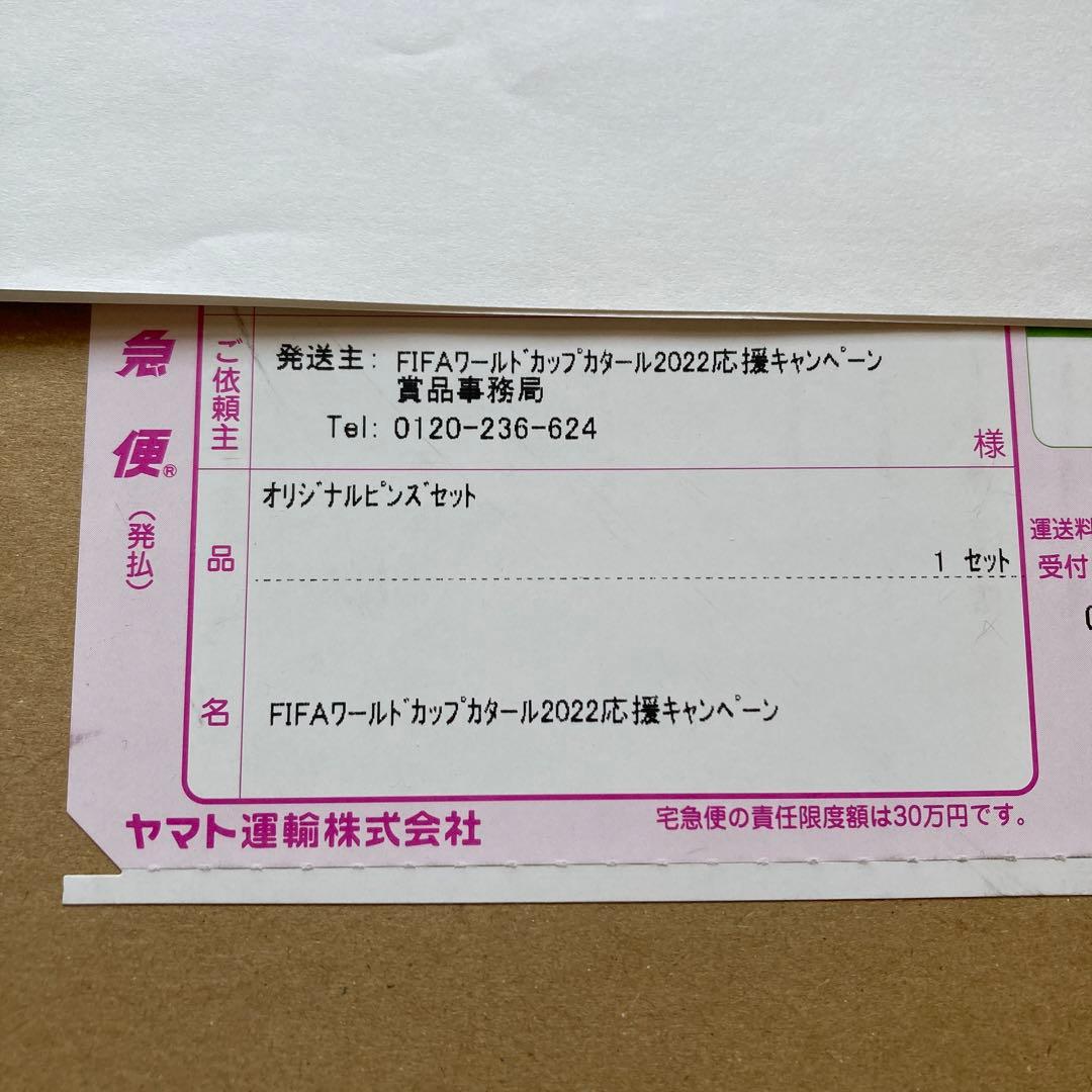 FIFA ワールドカップ コカ・コーラ オリジナルピンズ＆純金プレート