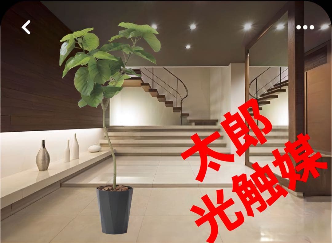 光触媒　人工観葉植物　フェイクグリーン　フレッシュデザインウンベラータ1.8 光触媒 光の楽園 ナチュラルウンベラータ1.9（組立式）【インテリア