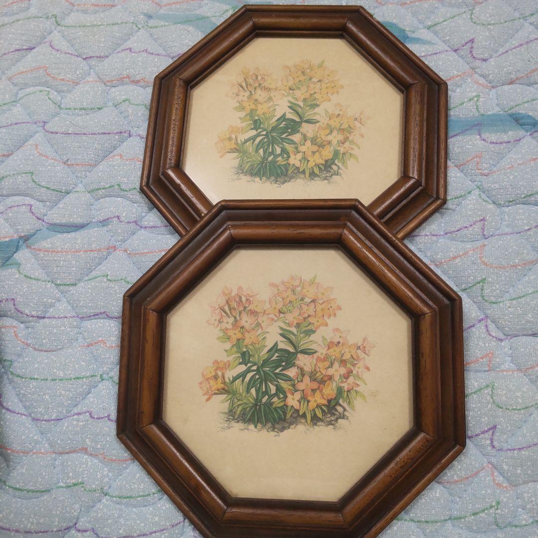 値下げ ボタニカルアート 六角フレーム 7点セット！ イタリア製