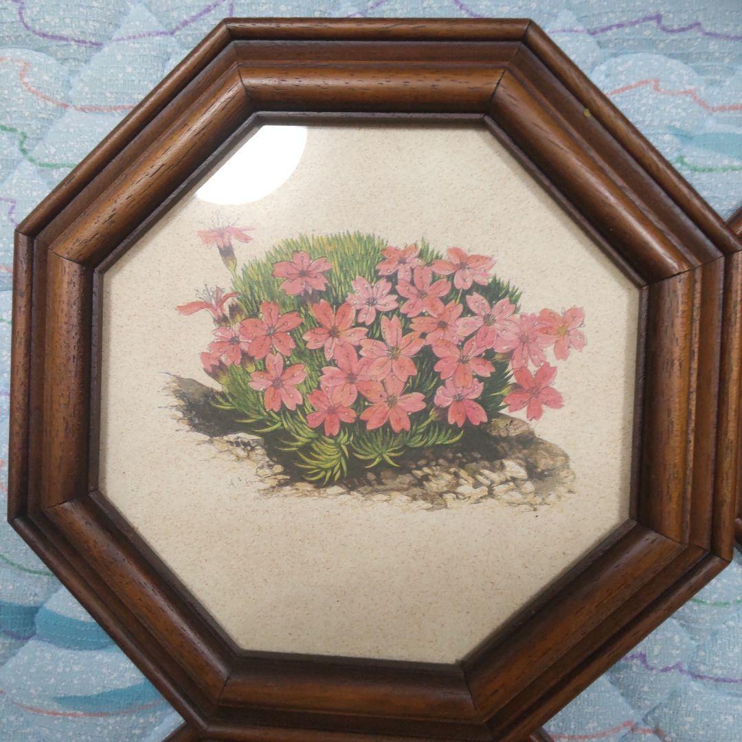 値下げ ボタニカルアート 六角フレーム 7点セット！ イタリア製
