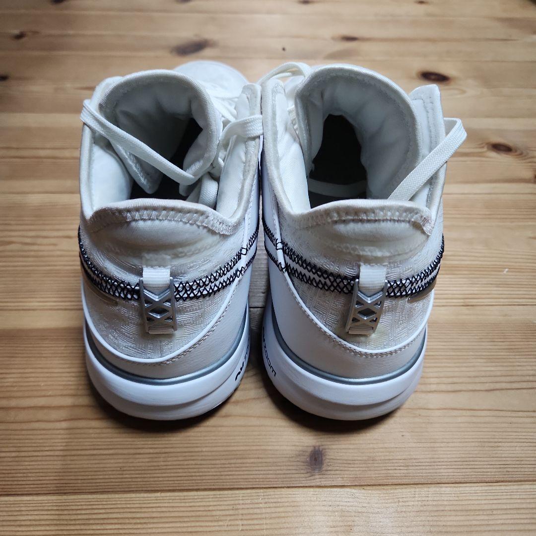 NIKE　レブロン　NXXT GEN EP 29.0cm