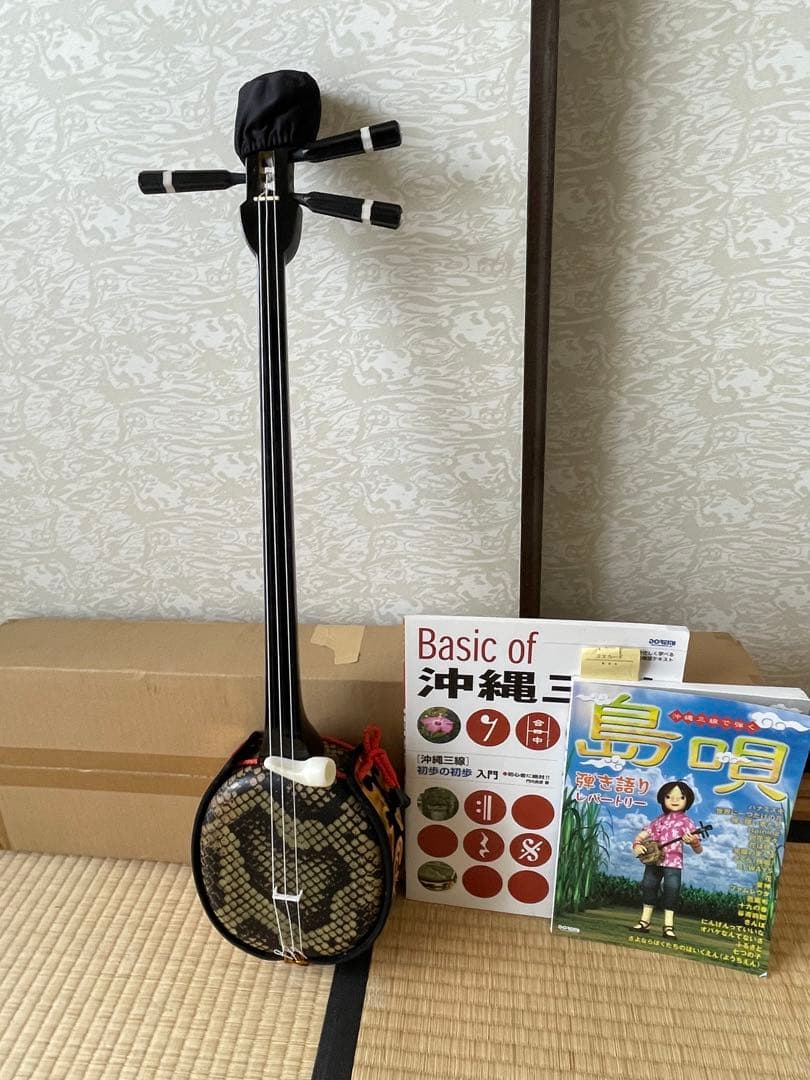 三線本体 ヘビ革製 3弦付き