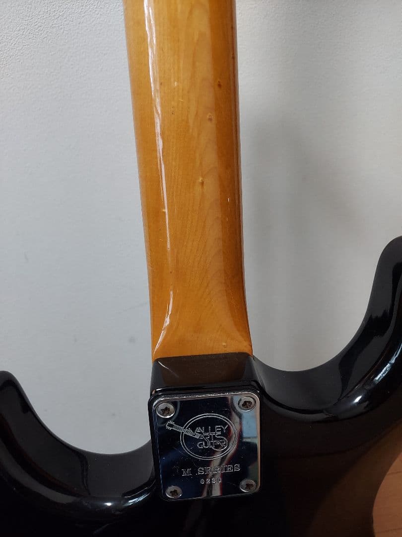 Valleyarts Mシリーズ 初期型 日本製 バーズアイネック ディマジオ