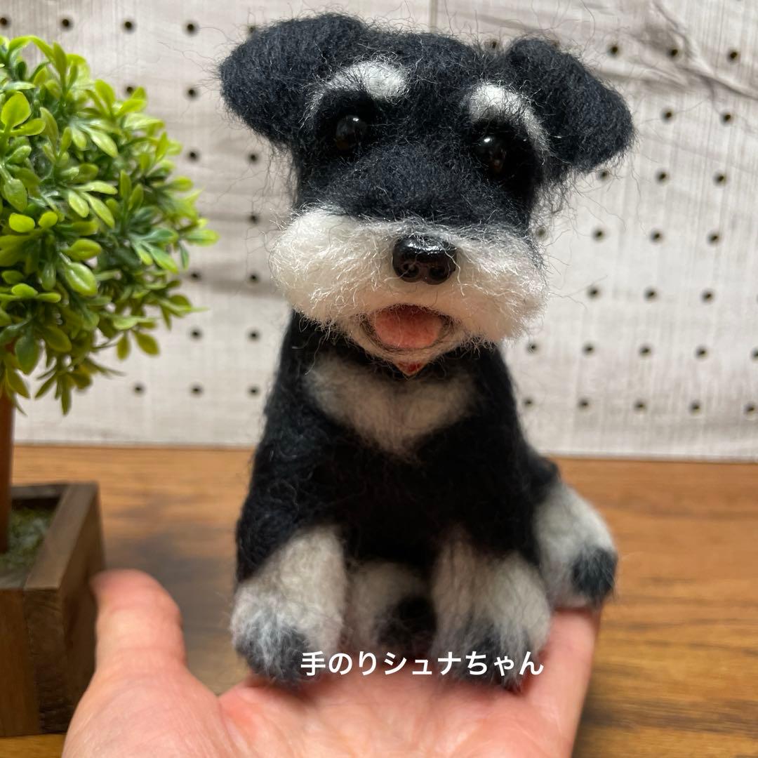 羊毛フェルト ミニチュアシュナウザー リクエストページ - メルカリ