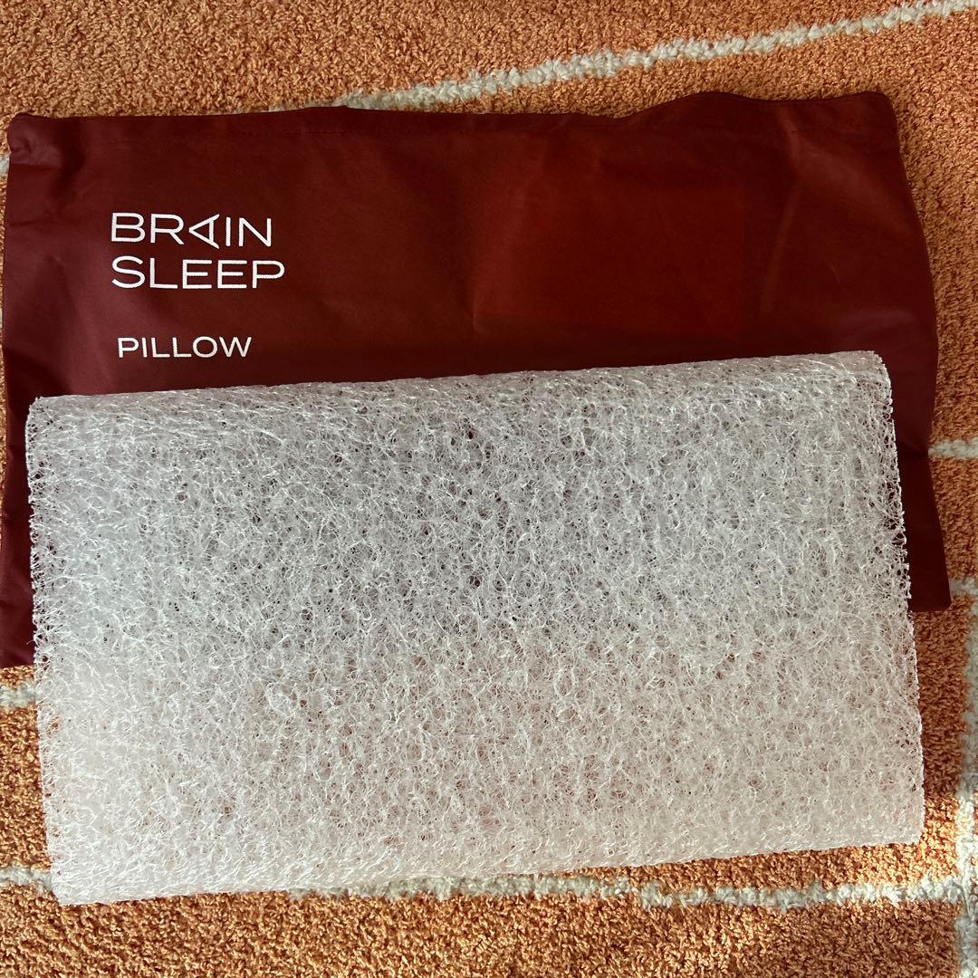 BRIAN SLEEP 枕 透明 収納バッグ付き BRIAN SLEEP 枕 透明 収納バッグ付き BRIAN SLEEP 枕 透明 収納バッグ