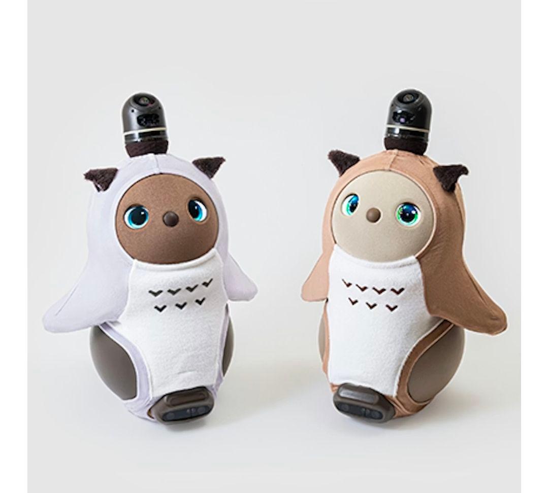 ラボット みみずくベロアカットソー ライトグレー lovot みみずくベロアカットソー(ライトグレー) | LOVOT ウェブストア