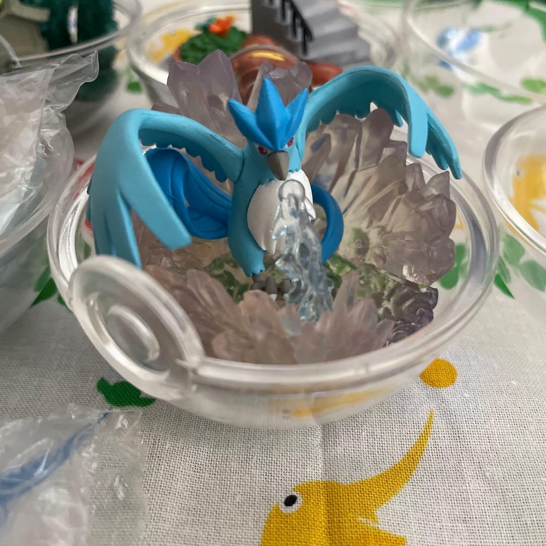 合計11個　ポケモンテラリウム4 +他6個　ブラッキーなし ポケットモンスター テラリウムコレクション4：商品案内 | 株式会社