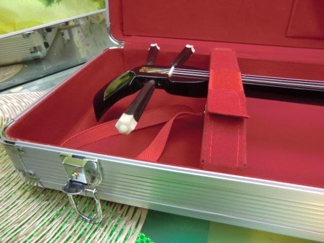 (送料無料)13.000円　一丁入アルミハードケース　三線を傷から守る 三線用アルミハードケース（2種） 1丁入れ・2丁入れ : 琉球楽器また