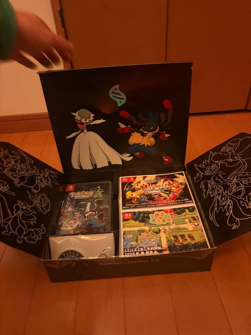 ポケモンZA ソフト 予約購入特典 オリジナルアートブック キーホルダー