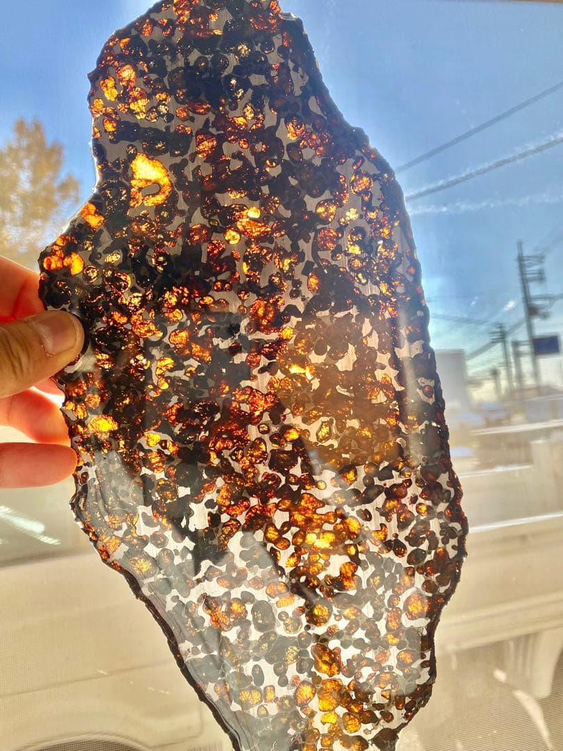 31cm 大型 希少 宇宙パワー パラサイト隕石 セリコ隕石 石鉄隕石 幸運