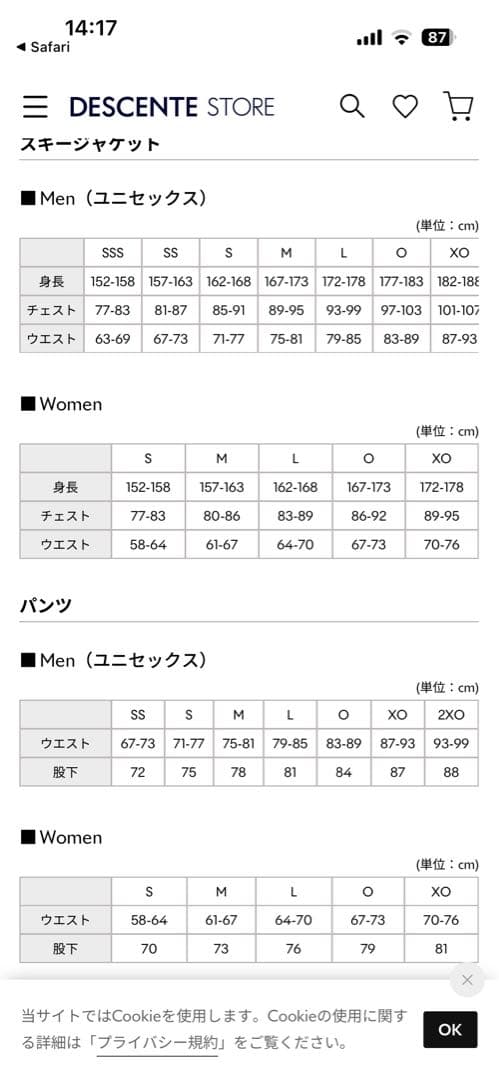 値引要請歓迎⭐️デサント⭐️スキー技術選 デモ上下セット（イエロー