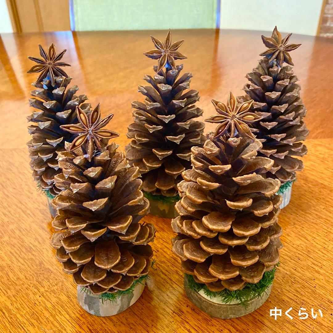 ⚠️専用品⚠️ 大王松 の 松ぼっくりツリー 土台付き ツリー
