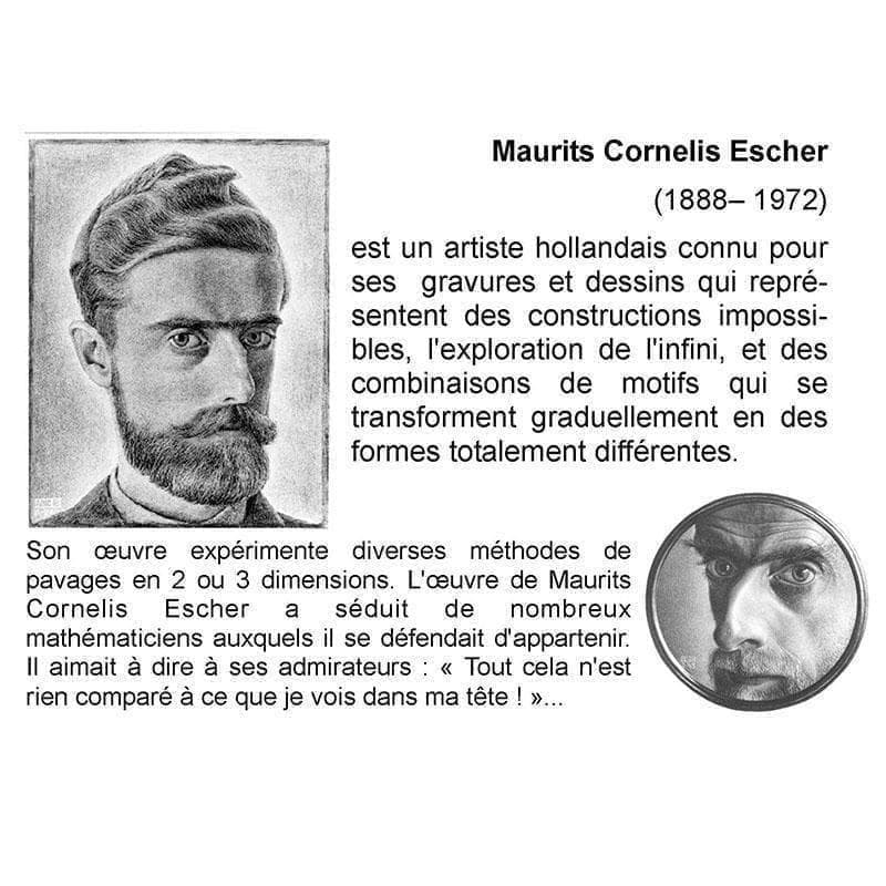 希少限定品！額装済/Metamorphosis /MC Escher/エッシャー - メルカリ