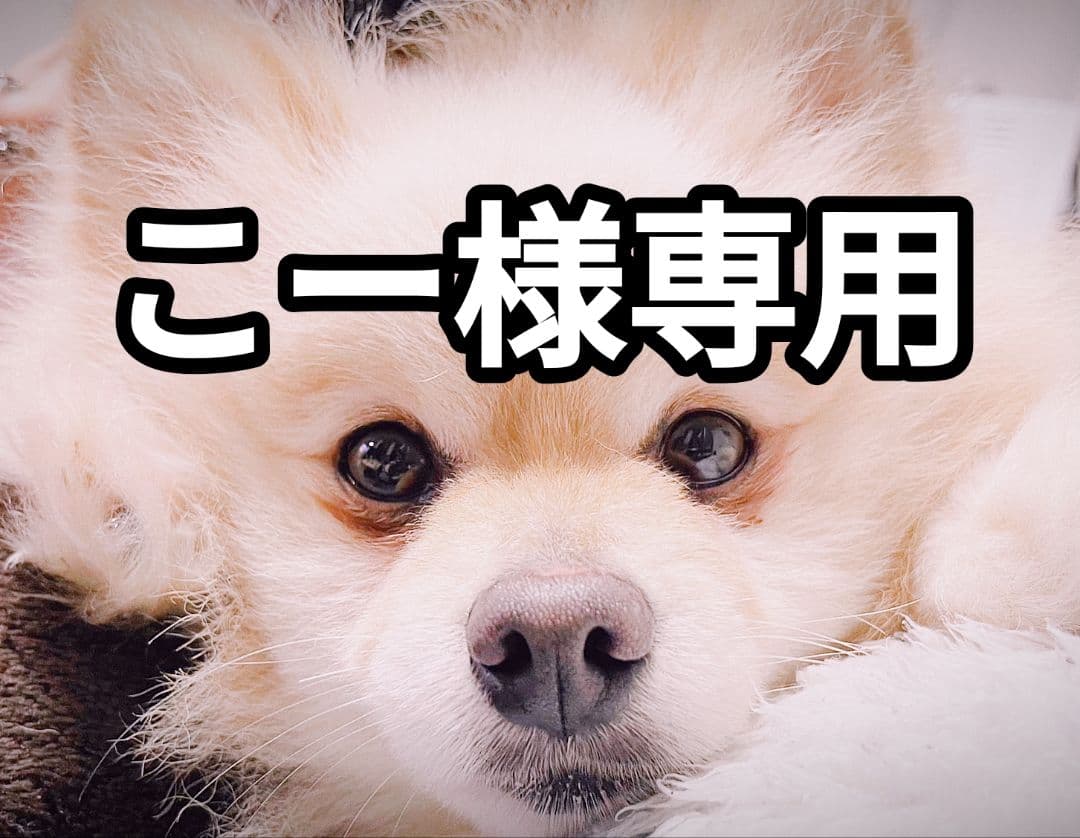 レーザー脱毛器 トリア 4X 楽天市場】脱毛器 レーザー脱毛器 トリア 4X メンズ レディース 家庭用