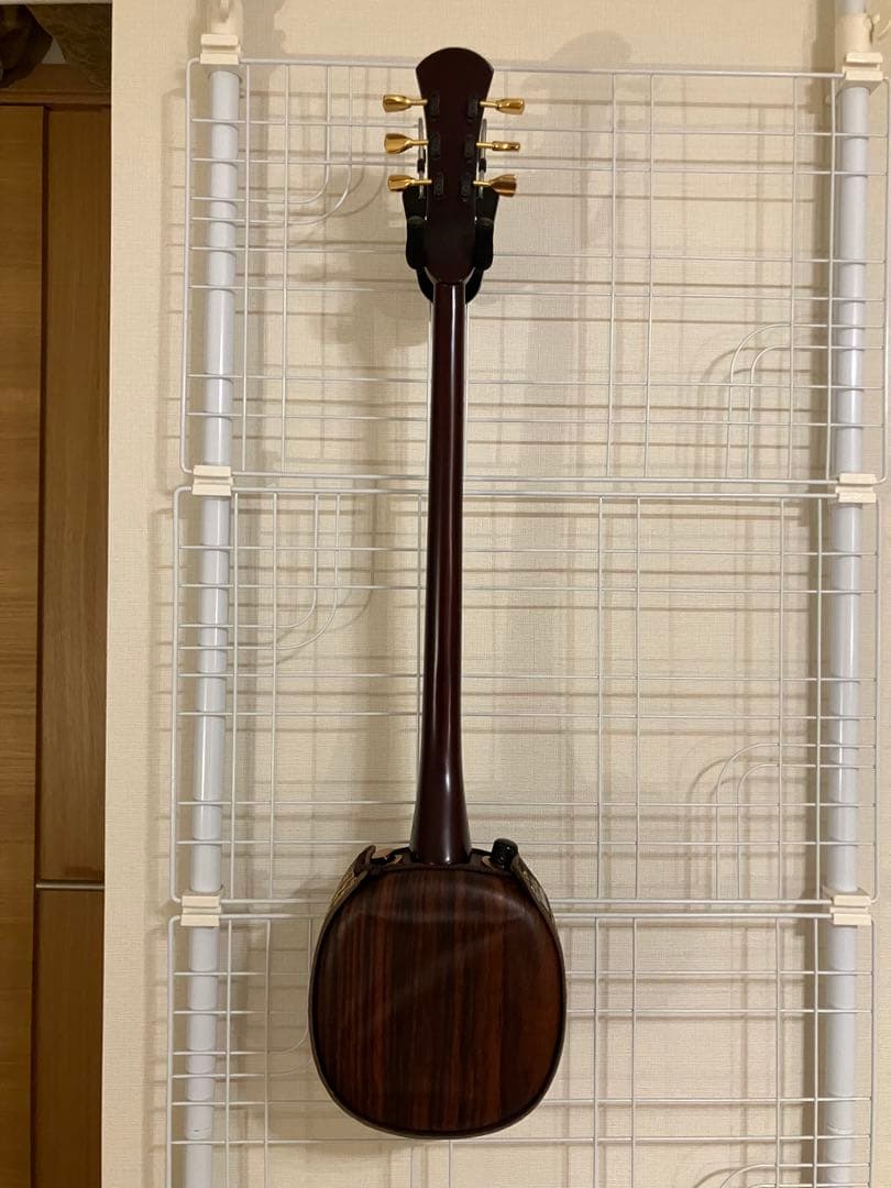 アーコ様専用）asovivaペグ三線 六弦 アンプ接続可